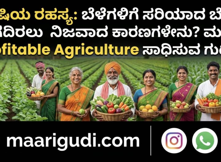 Profitable Agriculture