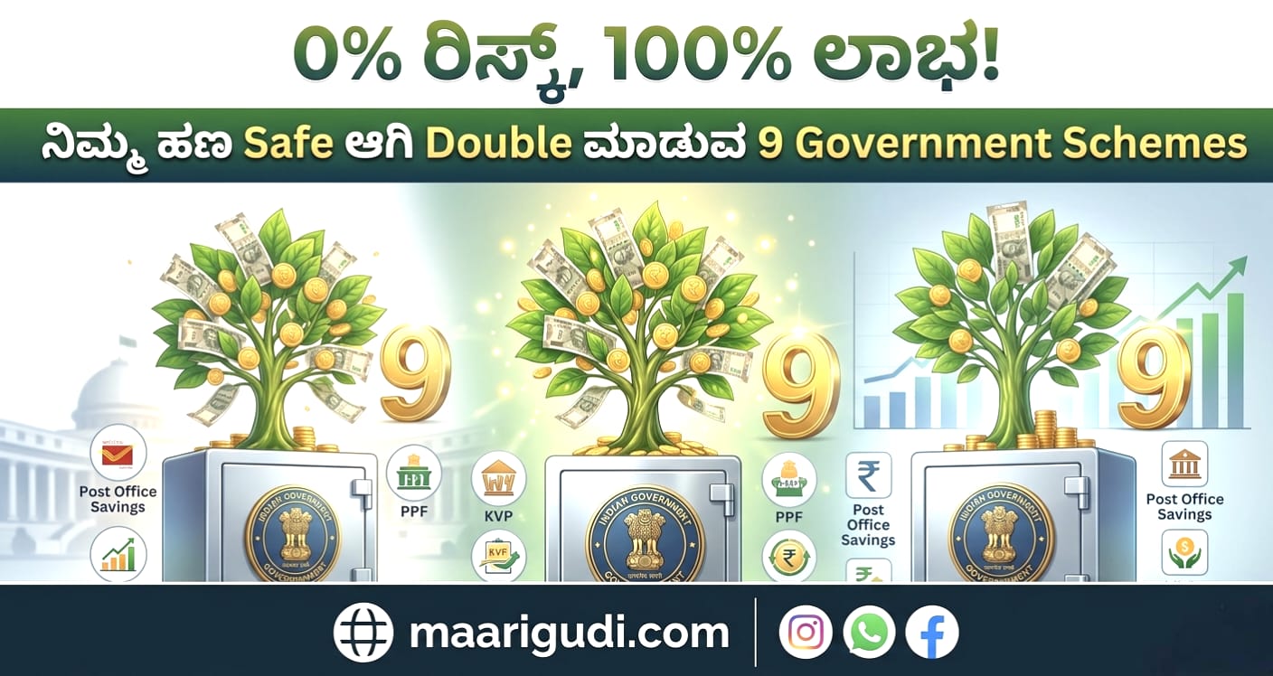 Government Investment Schemes