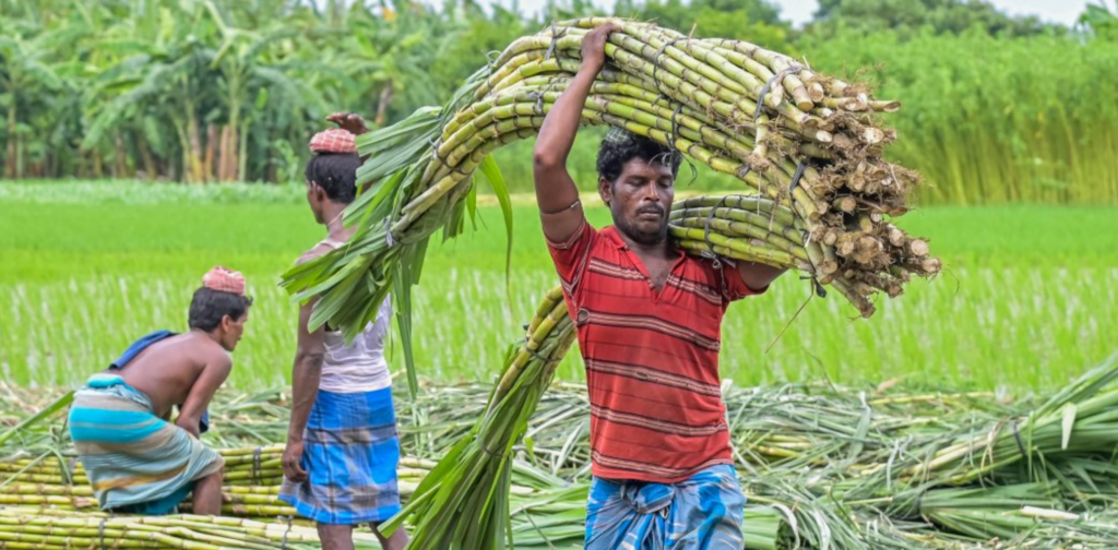 Retail sugar prices increasing in Indian markets ahead of the festive season.